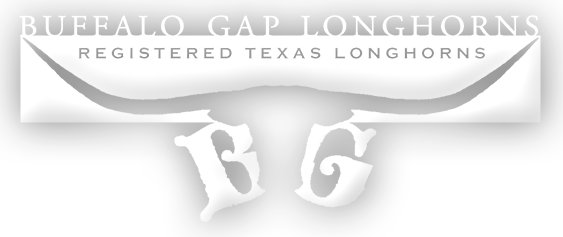 Buffalo Gap Longhorns Logo