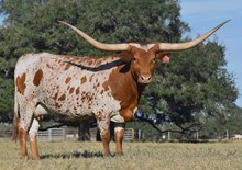 RJF RURAL ROMANCE 206