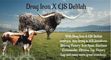 EJS Delilah X Drag Iron