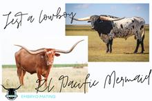 Jest a Cowboy x RC Pacific Mermaid Frozen Embryo