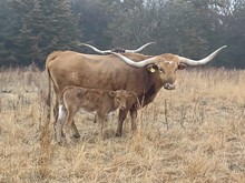 JACKHAMMER X CTC FAME & FORTUNE TAG 302