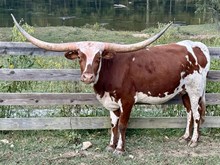 MBR So Long Nashville